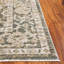 Tapis oriental Hazel Performance-2057024374