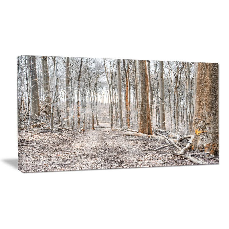 «Dense Forest in the Winter», reproduction de photo sur toile tendue, H 28 po x l 60 po