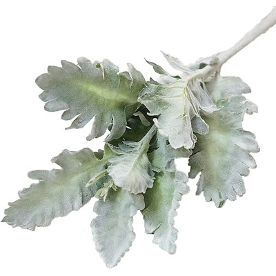 Chrysanthemum Leaf Arrangement
