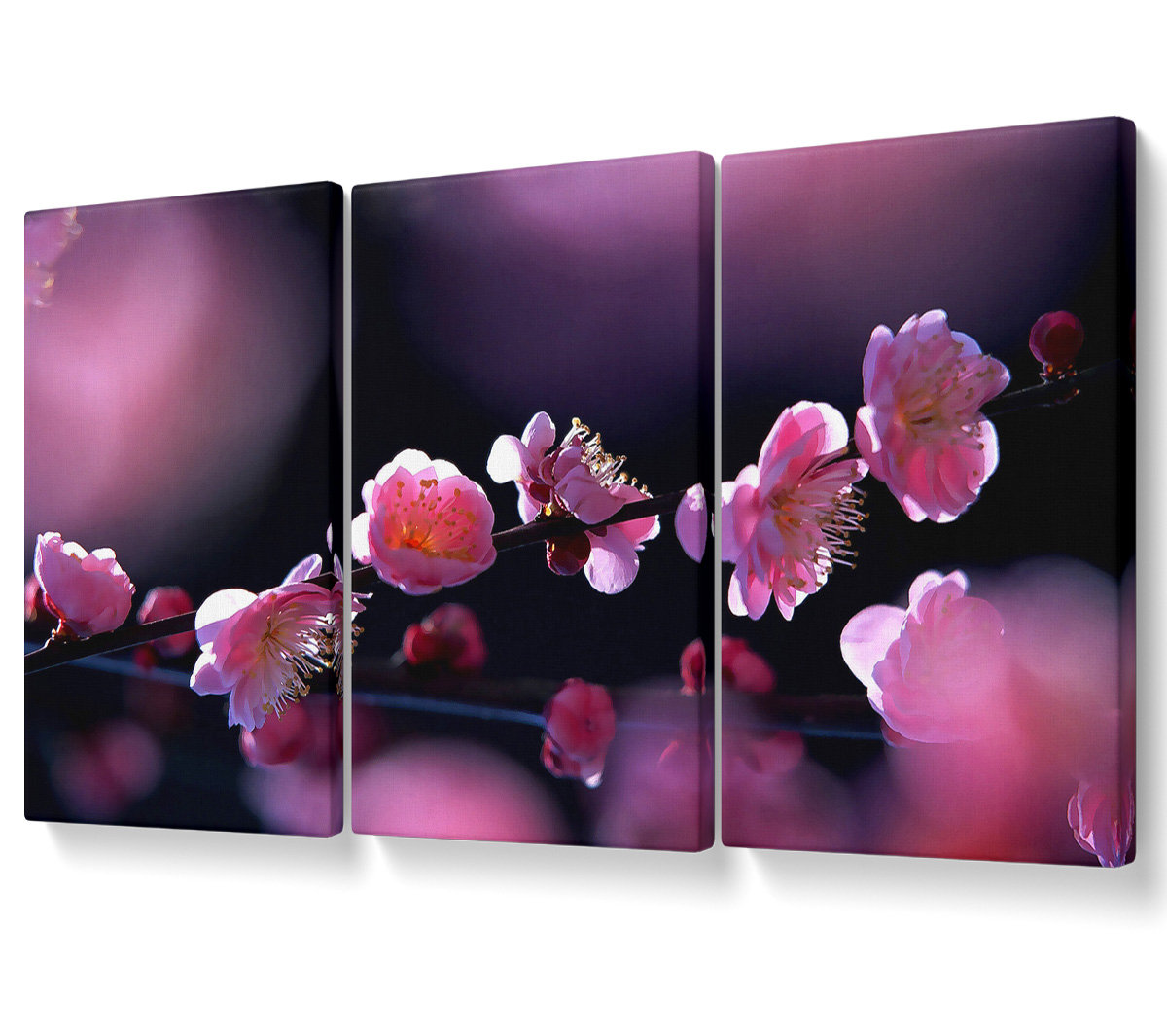 Ebern Designs Pink Blossom Flowers - 3 Piece Wrapped Canvas Graphic Art ...