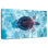 Brampt Turtle Swimming