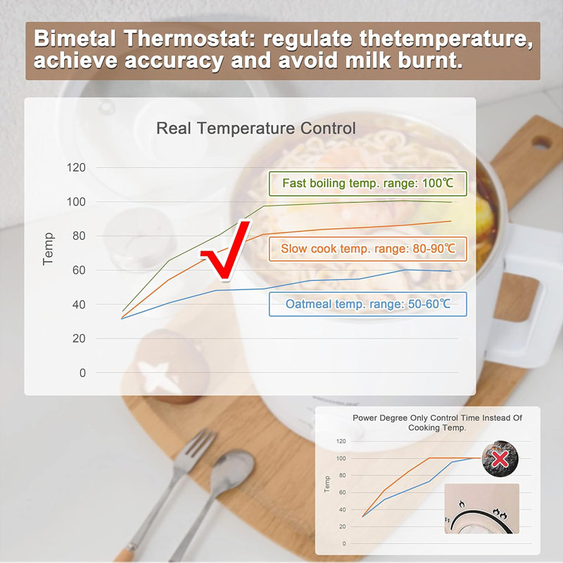 Mini marmite électrique, cuiseur rapide pour ramen / soupe, acier inoxydable avec protection contre la surchauffe