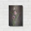 «Tulipes du printemps» par Debra Van S-101670019