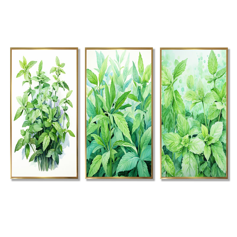 Ensemble de 3 décorations murales Herbes menthe fraîcheur I - Herbes, Cadre flottant doré, H 28 po x l 36 po