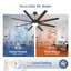  Ventilateur de plafond noir 72 "avec télécommande pour chambres et espaces de vie-250976072-250976073
