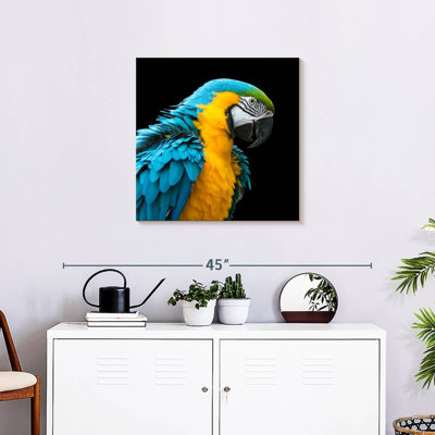 Crowle Charming Macaw
