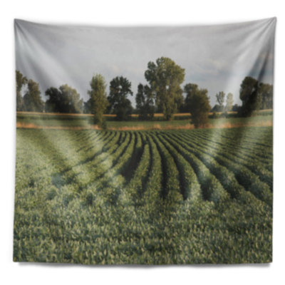 Tapisserie de polyester, ranges de champ de soja avec accessoires suspendus inclus