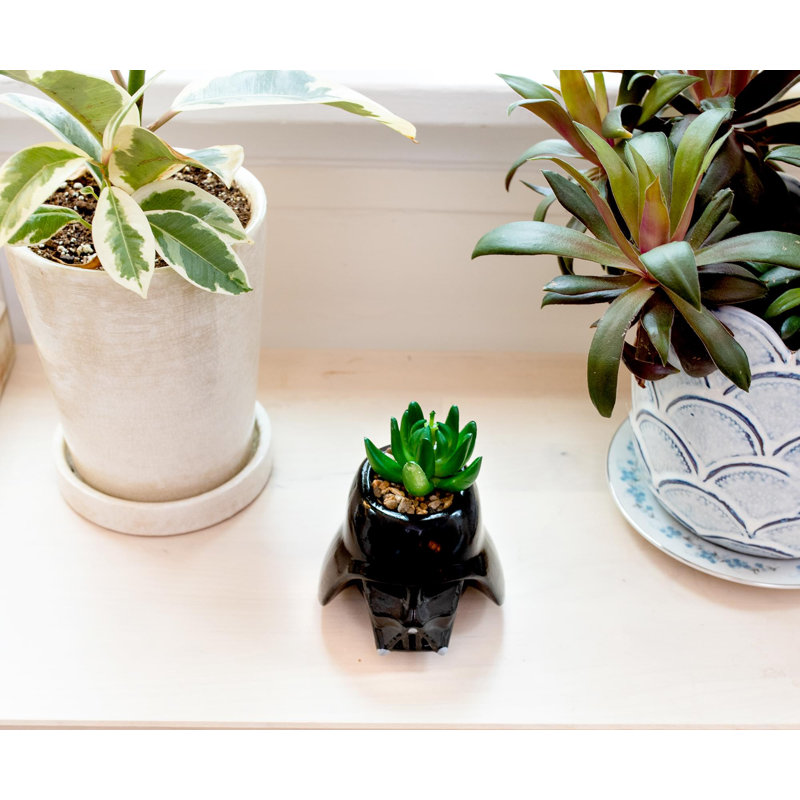 4'' Faux Succulent