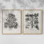 «Vintage Floral LXVI», impression giclée sur cadre - ensemble de 2-1569990971-1569990919