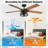 Rish 52'' Ceiling Fan with Light Kit-210925623