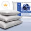 Oreiller matelassé en plumes d'oie blanches-1317709185-1317709236