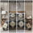 Woolrich Sierra Oversized Print Plush Quilt Set-62255188
