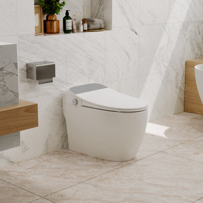 Siège de toilette intelligent PineLn