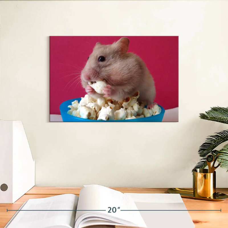 Ketti Hamster Eating Popcorn, 8" H x 12" W