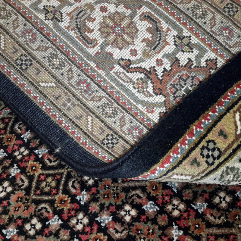 Losh Oriental Area Rug in Black