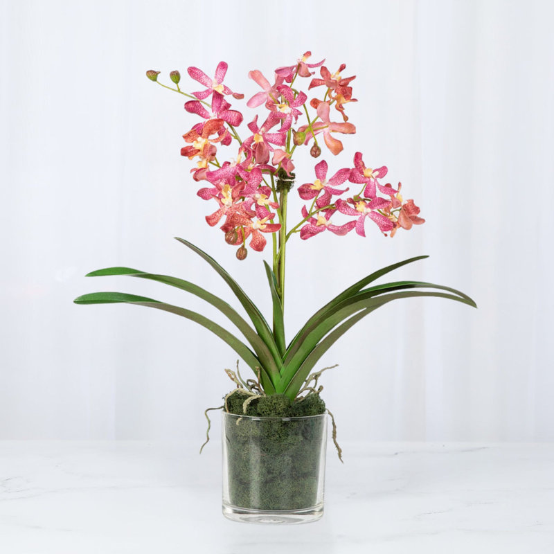 Orchid Arrangement In Glass Vase, Pink