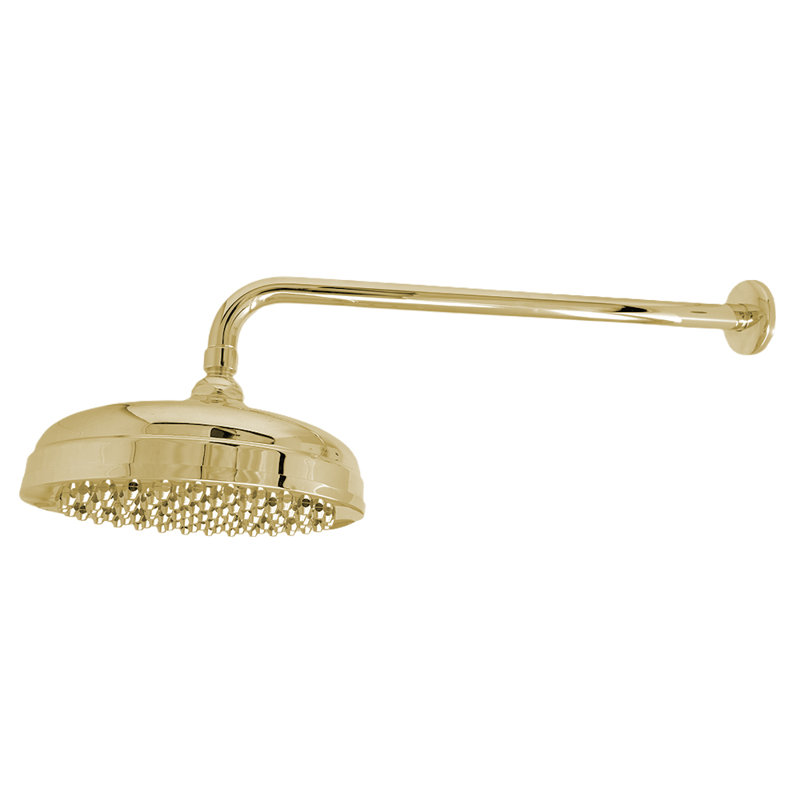 8" Shower Head with 16" Straight Arm & Escutcheon, Supercoat Brass