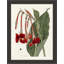 Large Red Botanical I Print