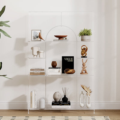 Acrylic display and storage bookcase