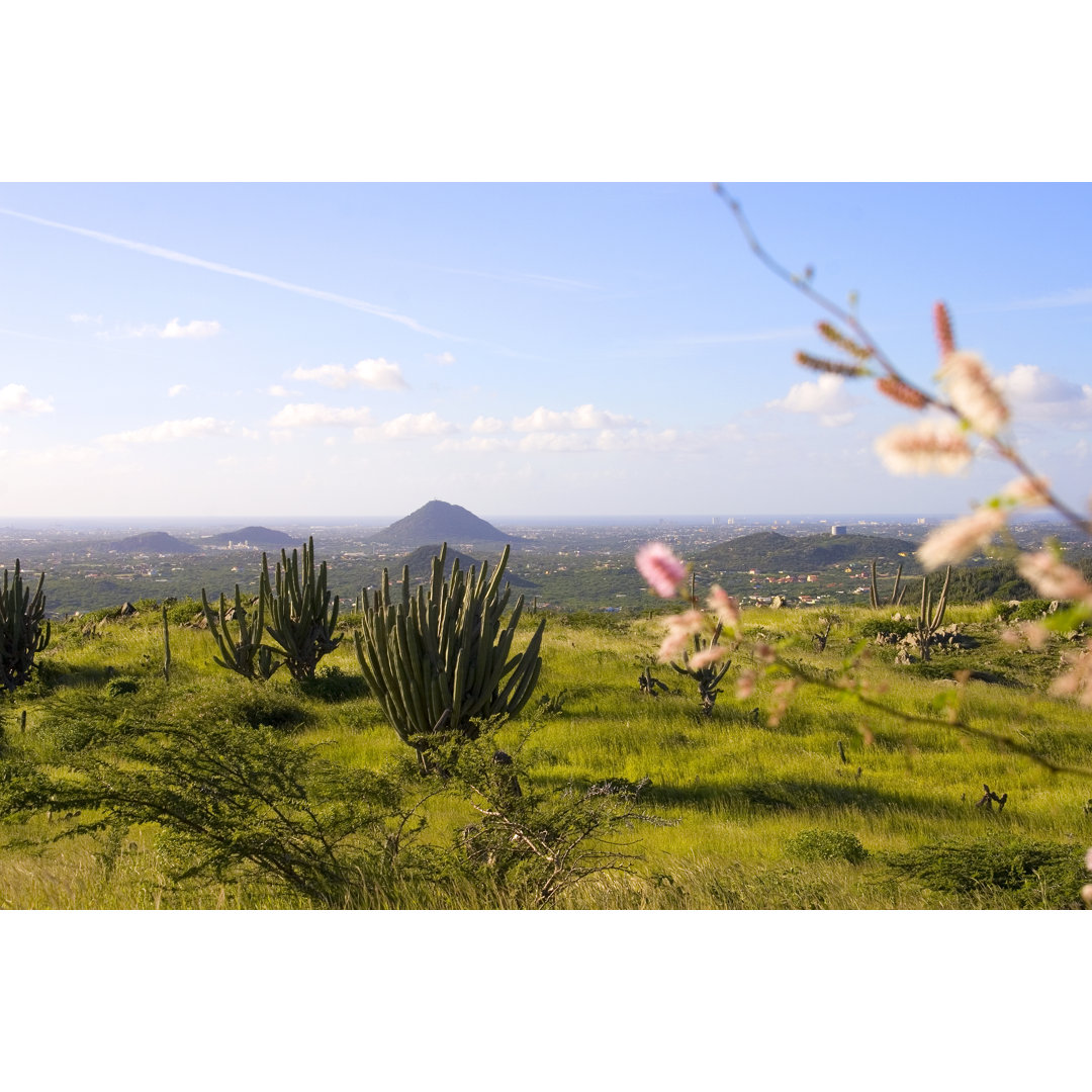 Blick von der Bergkuppe, Arikok Aruba