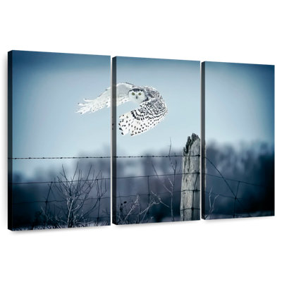 Winter Snowy Owl IV