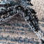 Tapis Frystown-466081237