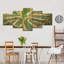 «Succulent Striped Agave Succulents on Canvas», ensemble de 5 pièces-92763616