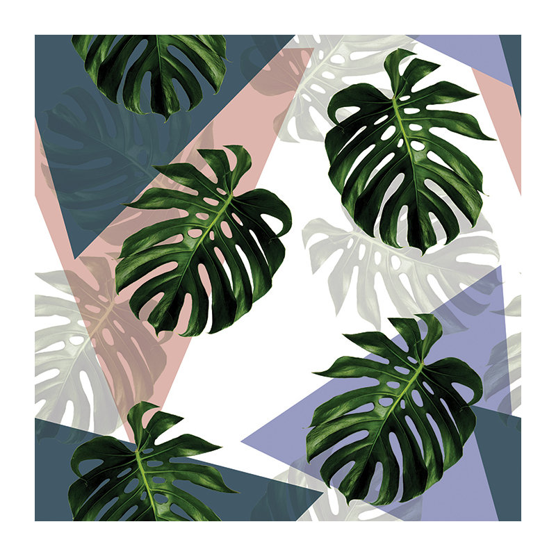 Kleopatra Smooth Matte Mural, 208 x 146cm