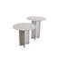 Ensemble de tables basses modernes (2 pièces), blanc, petite table: 15,8 po x 17,7 po x 15,8 po | Grande table: 15,8 po x 21,7 po x 15,8 po | 100% panneau de fibres à densité moyenne, épaisseur: 0,7 pouce | Design élégant et fonctionnel pour décorer un salon ou un salon-504306417