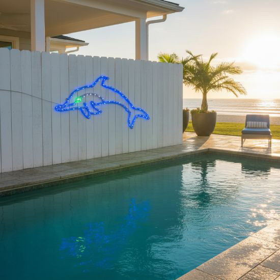 2D Dolphin Sign