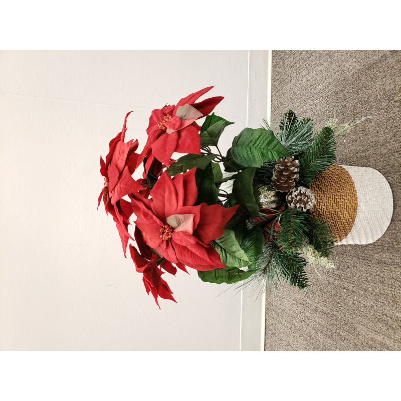 Arrangement floral de poinsettias en pot