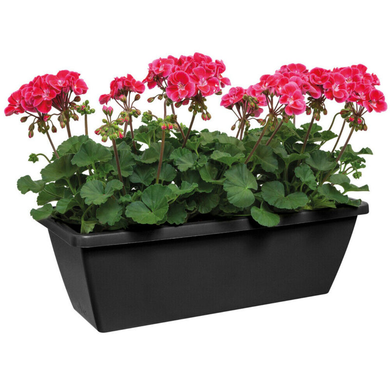 Adhya Plant Pot, Black