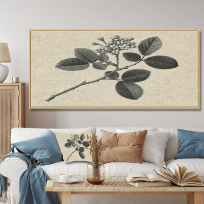 «Grey Minimalisme Vintage Solitude plant - Plants», reproduction d'art sur toile botanique grise