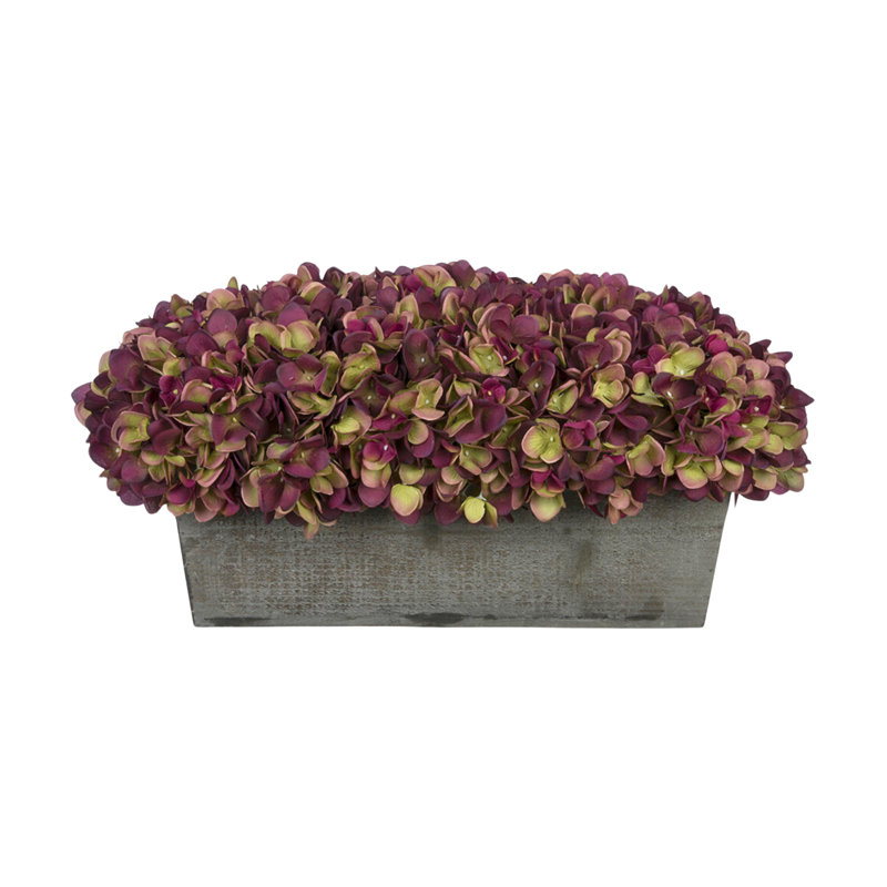 Arrangement d'hortensias en prune, Prune / sauge, Noir