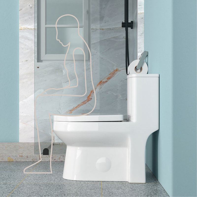 Ceramic One Piece Toilet For Bathroom, 12-Inch Rough-In, 1.1/1.6 GPF, Dual Flush With Soft Clsoing Seat, Powerful Dual Flush MAP 800G
