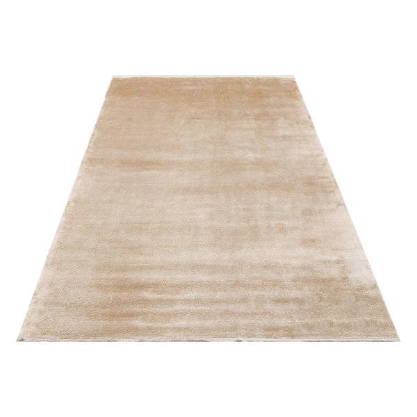 Velvet Rug Rip Lofy Velvet Machine Woven Viscose Mink Rug | Wayfair