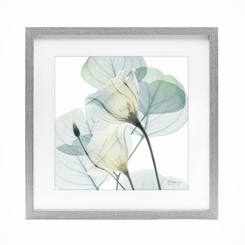 «Divine Fate Petals», reproduction encadrée sous verre, design par Albert Koetsier, H 13 po x l 13 po
