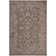 Amedee Performance Oriental Indoor/Outdoor Area Rug