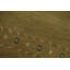 Tapis vert indien vert 5 x 8
