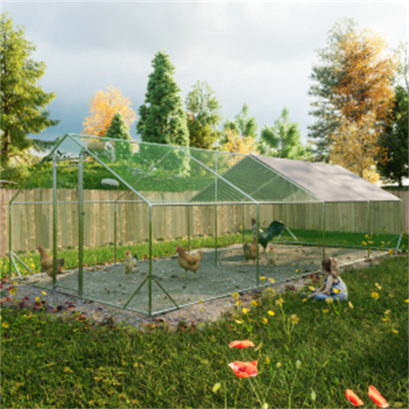 Grand poulailler en métal, H 78,72 po x l 120 po x P 312 po