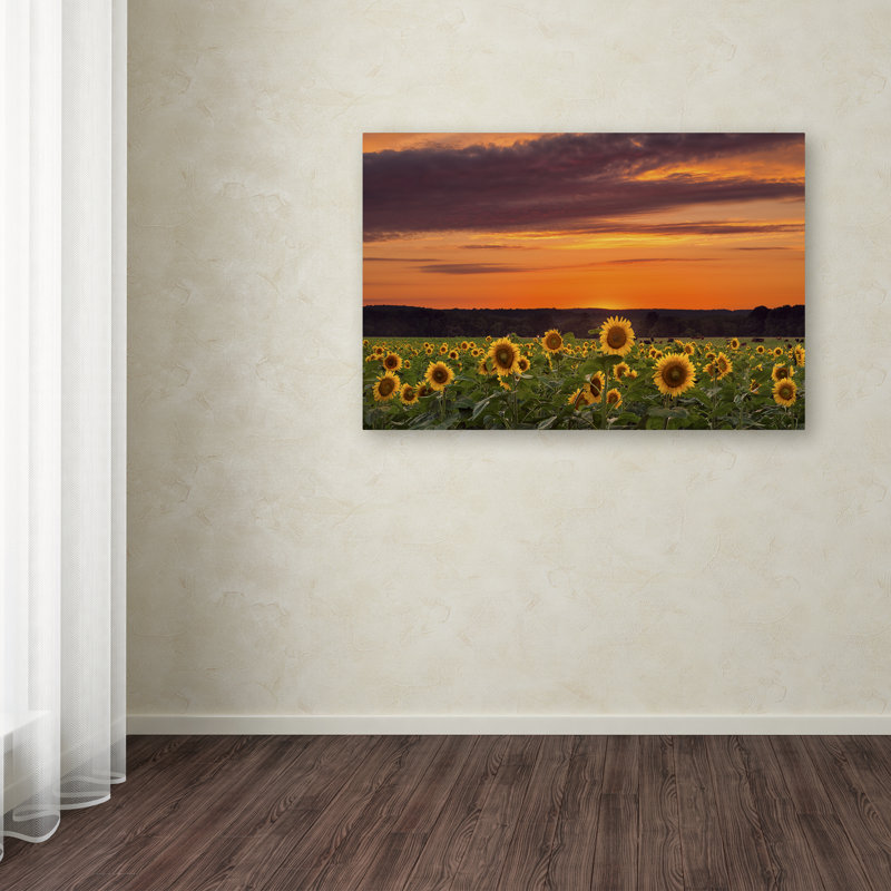 « tournesol coucher coucher de soleil », reproduction de photo sur toile tendue, H 16 po x l 24 po x P 2 po