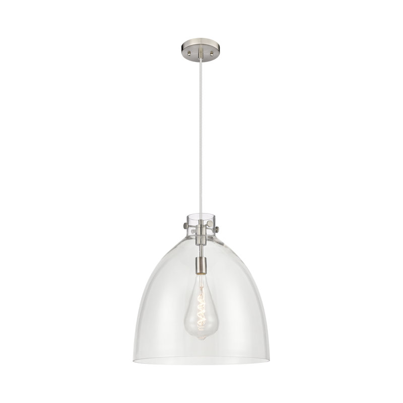 Luminaire suspendu à 1 lumière Badgett, Clair, H 16 po x l 14 po x P 14 po, Nickel satiné