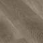 Shale-125529396