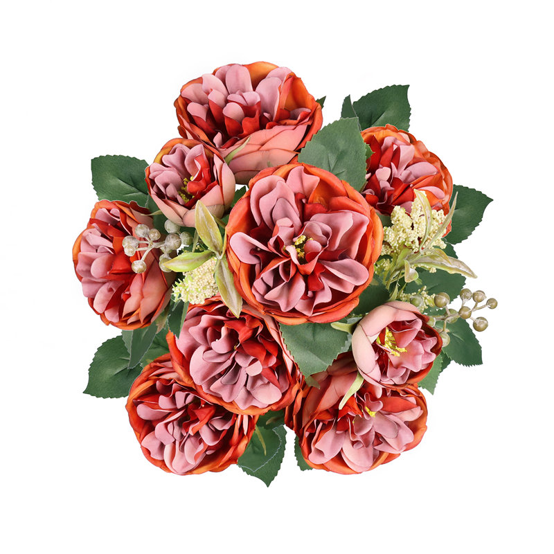 Chou rose, Rouge-orange