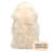 Fraley Sheepskin Indoor Rug-1481243105