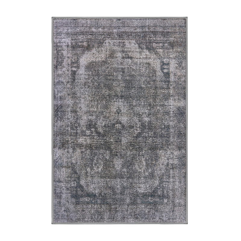 Pavie Oriental Indoor Rug, Rectangle 2' x 3'