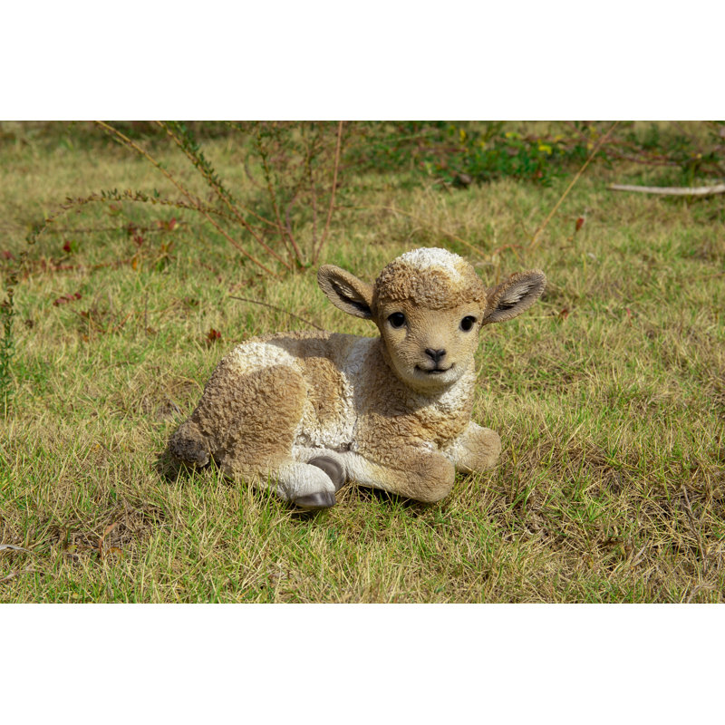 Baby Lamb Lying Down, Brown