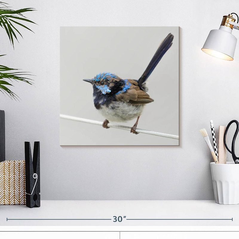 Brampt Bluebird Close Up, 16" H x 16" W