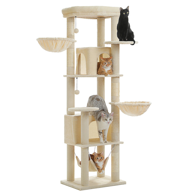 Arbre à chat, Beige