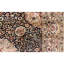 Sona Wool Oriental Area Rug